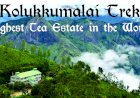 Kolukkumalai Trek - Highest Tea Estate in the World