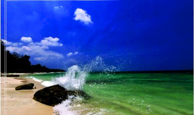 The Rebound of  Indian Tourism