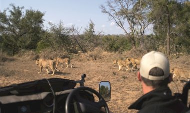 South African Kickstarts its Annual Multi-city Roadshow 2024 in India