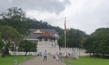 Essence of Sri Lanka