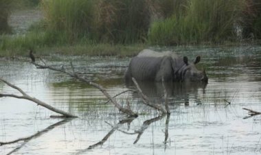 Dudhwa Emerges as India’s Model for Sustainable Eco-Tourism