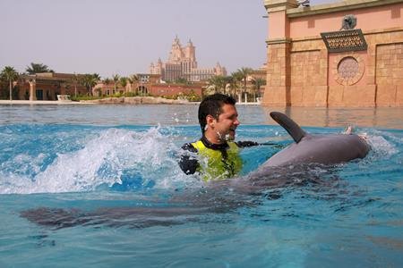 Dolphin Bay in Atlantis, The Palm welcomes the New Dolphin Experiences