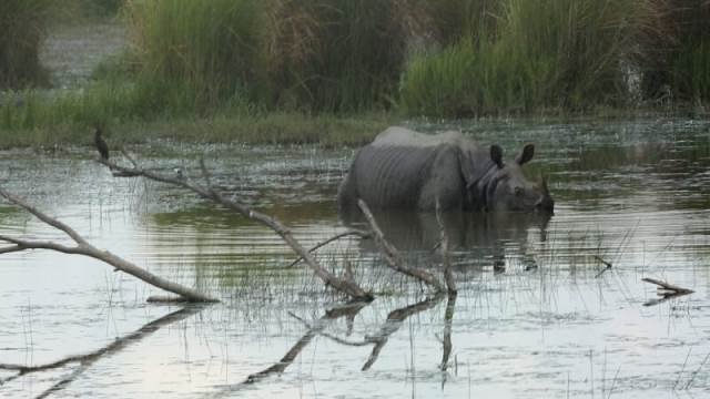 Dudhwa Emerges as India’s Model for Sustainable Eco-Tourism